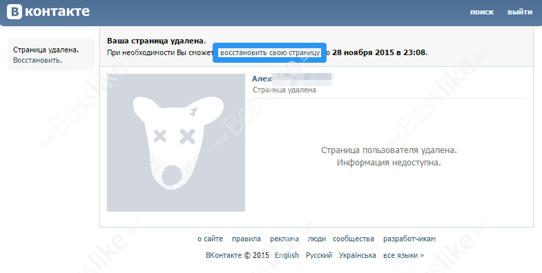 Восстановить страницу Вконтакте